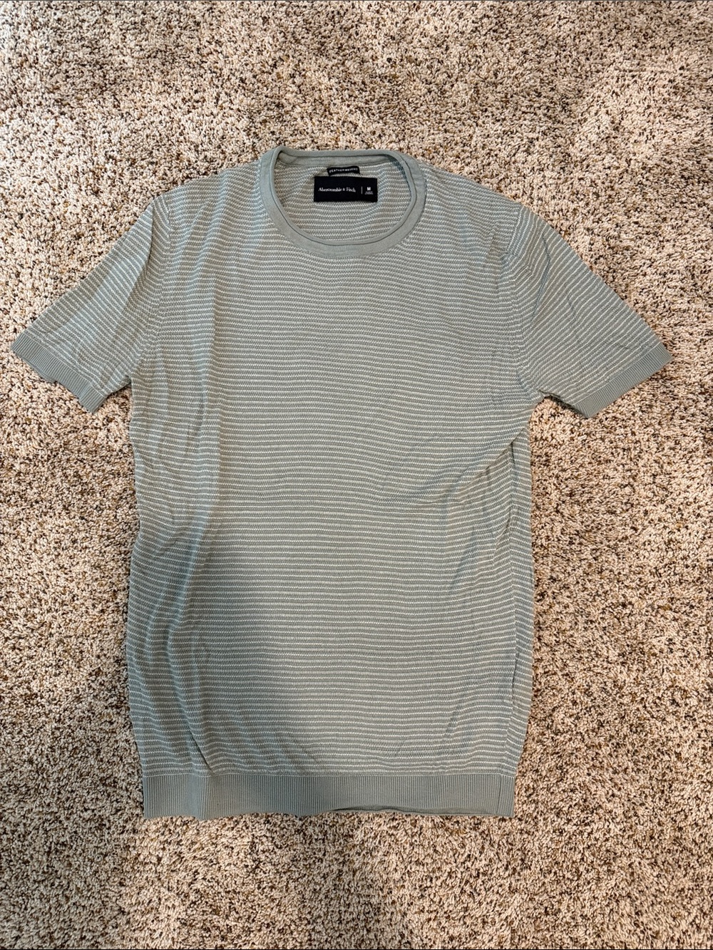 Abercrombie and Fitch Menās Short Sleeve Textured Tee - Light Sage size medium